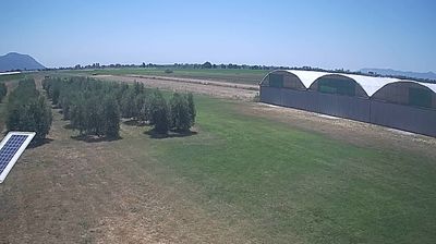 immagine della webcam nei dintorni di Sabaudia: webcam Frasso