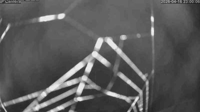 immagine della webcam nei dintorni di San Pellegrino Terme: webcam Albino