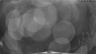 immagine della webcam nei dintorni di San Pellegrino Terme: webcam Albino