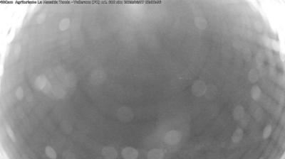 immagine della webcam nei dintorni di Fornovo di Taro: webcam Langhirano