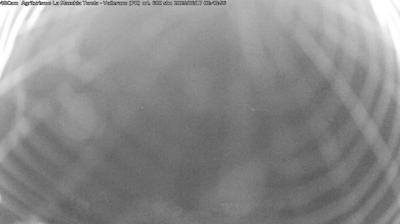 immagine della webcam nei dintorni di Tizzano Val Parma: webcam Langhirano