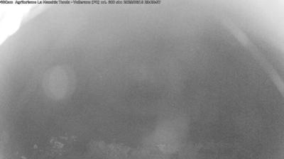 immagine della webcam nei dintorni di Pratizzano: webcam Langhirano