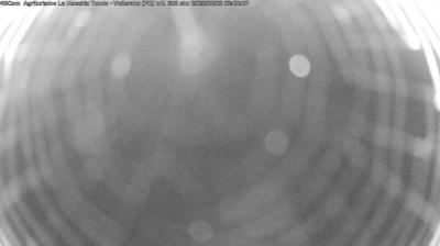 immagine della webcam nei dintorni di Cavriago: webcam Langhirano