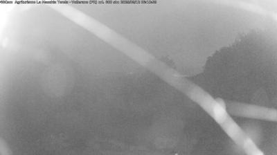 Preview delle webcam di Langhirano