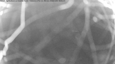Preview delle webcam di Langhirano