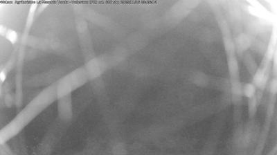 immagine della webcam nei dintorni di Quattro Castella: webcam Langhirano