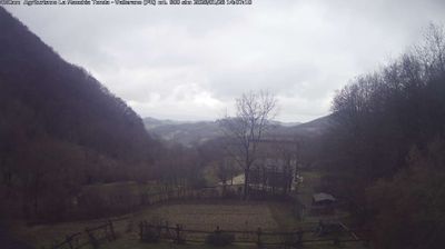 Preview delle webcam di Langhirano