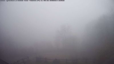 immagine della webcam nei dintorni di Felino: webcam Langhirano