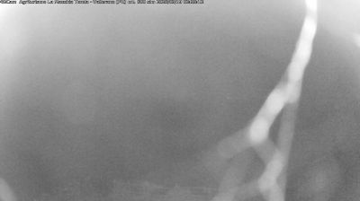 immagine della webcam nei dintorni di Fornovo di Taro: webcam Langhirano