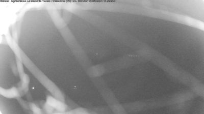 immagine della webcam nei dintorni di Cavriago: webcam Langhirano