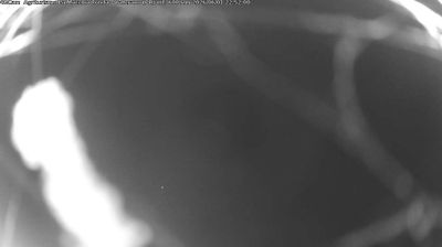 immagine della webcam nei dintorni di Parma: webcam Langhirano