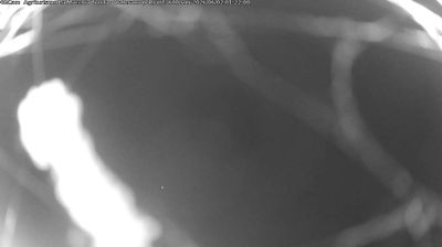 immagine della webcam nei dintorni di Schia: webcam Langhirano