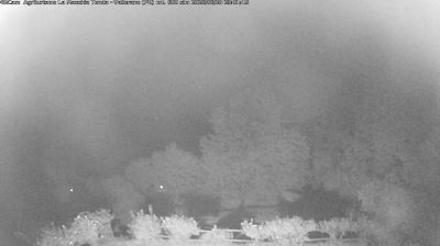 immagine della webcam nei dintorni di Parma Aeroporto: webcam Langhirano