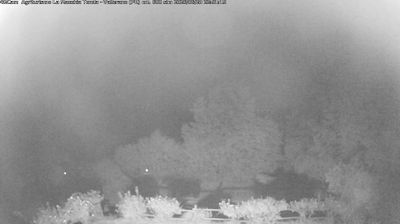 immagine della webcam nei dintorni di Montechiarugolo: webcam Langhirano