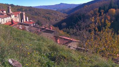 immagine della webcam nei dintorni di Pian di Sco': webcam Ortignano Raggiolo