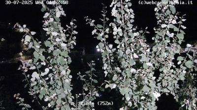 immagine della webcam nei dintorni di Bielmonte: webcam Piode