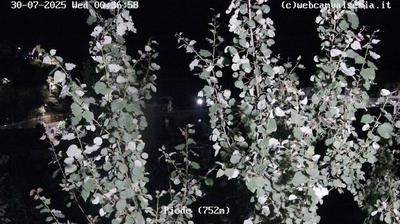immagine della webcam nei dintorni di Rimasco: webcam Piode