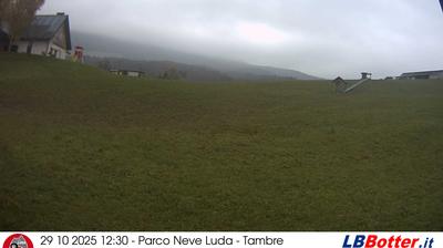 immagine della webcam nei dintorni di Pian del Cansiglio: webcam Col Indes