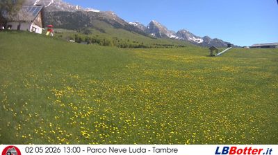 immagine della webcam nei dintorni di Pian del Cansiglio: webcam Col Indes