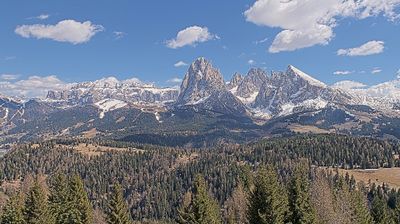 immagine della webcam nei dintorni di Castelrotto: webcam Bulla