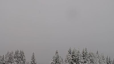 immagine della webcam nei dintorni di Bressanone: webcam Bulla