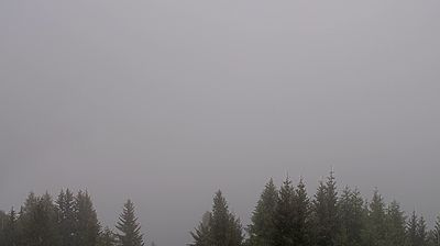 immagine della webcam nei dintorni di Fiè allo Sciliar: webcam Bulla