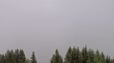 immagine della webcam nei dintorni di Renon: webcam Bulla