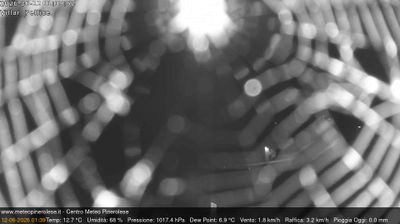 immagine della webcam nei dintorni di Rucas di Bagnolo: webcam Villar Pellice