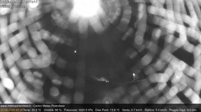 immagine della webcam nei dintorni di Sestriere: webcam Villar Pellice
