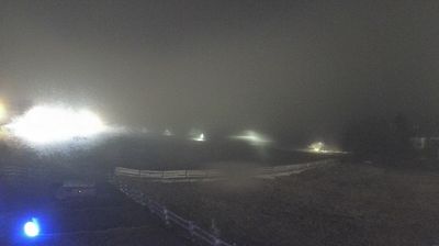 immagine della webcam nei dintorni di Curon Venosta: webcam Malga San Valentino