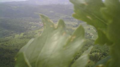 webcam