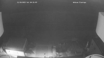 immagine della webcam nei dintorni di Poggio Berni: webcam Gatteo