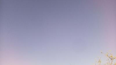 immagine della webcam nei dintorni di Lignano Sabbiadoro: webcam Bertiolo