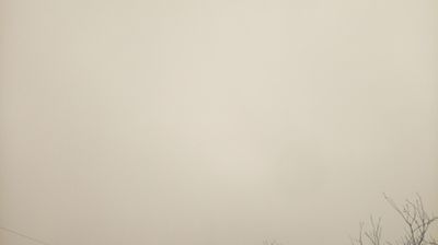 immagine della webcam nei dintorni di Medea: webcam Bertiolo