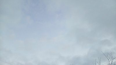 immagine della webcam nei dintorni di Grado Pineta: webcam Bertiolo