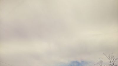 immagine della webcam nei dintorni di Grado Pineta: webcam Bertiolo