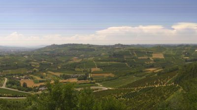 immagine della webcam nei dintorni di Felizzano: webcam Magliano Alfieri