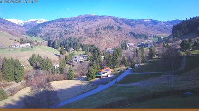 immagine della webcam nei dintorni di Polaveno: webcam Val Palot