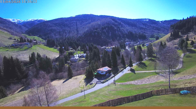 immagine della webcam nei dintorni di Darfo Boario Terme: webcam Val Palot