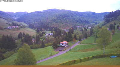 immagine della webcam nei dintorni di Polaveno: webcam Val Palot