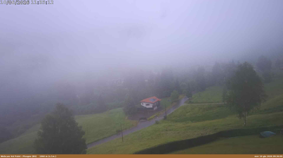 immagine della webcam nei dintorni di Sulzano: webcam Val Palot