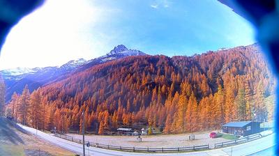 immagine della webcam nei dintorni di Punta Indren: webcam Staffal