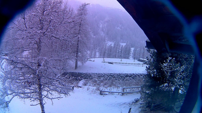 immagine della webcam nei dintorni di Gressoney-la-Trinitè: webcam Staffal