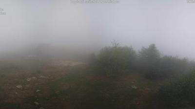 immagine della webcam nei dintorni di Coassolo Torinese: webcam Locana