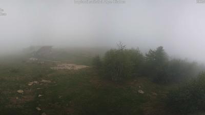 immagine della webcam nei dintorni di Ala di Stura: webcam Alpe Cialma