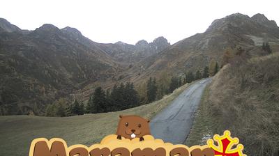 immagine della webcam nei dintorni di Pontechianale: webcam Castelmagno