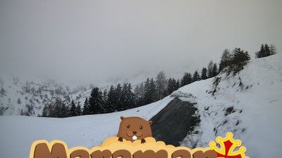 immagine della webcam nei dintorni di Entracque: webcam Castelmagno