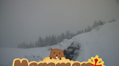 immagine della webcam nei dintorni di Bagni di Vinadio: webcam Castelmagno