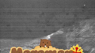 immagine della webcam nei dintorni di Marmora: webcam Castelmagno