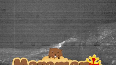 immagine della webcam nei dintorni di Entracque: webcam Castelmagno